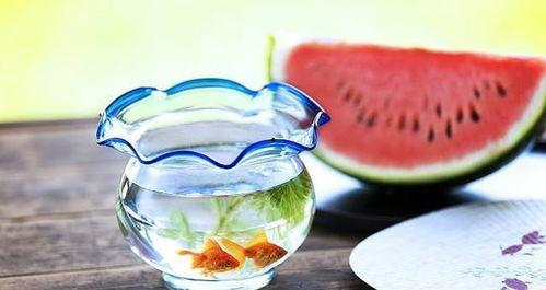 暗黑吃瓜爆料,揭秘娱乐圈背后的惊人真相